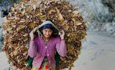 Pindar and saryu valley