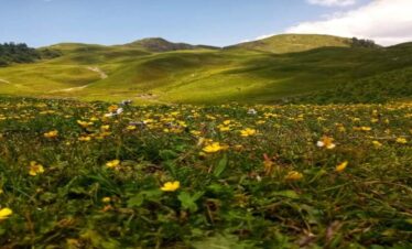 Dayara Bugyal trek lush green alpine meadows in Uttarakhand with Himalayan peaks
