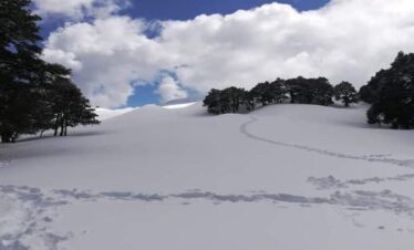 Gorson Bugyal Trek