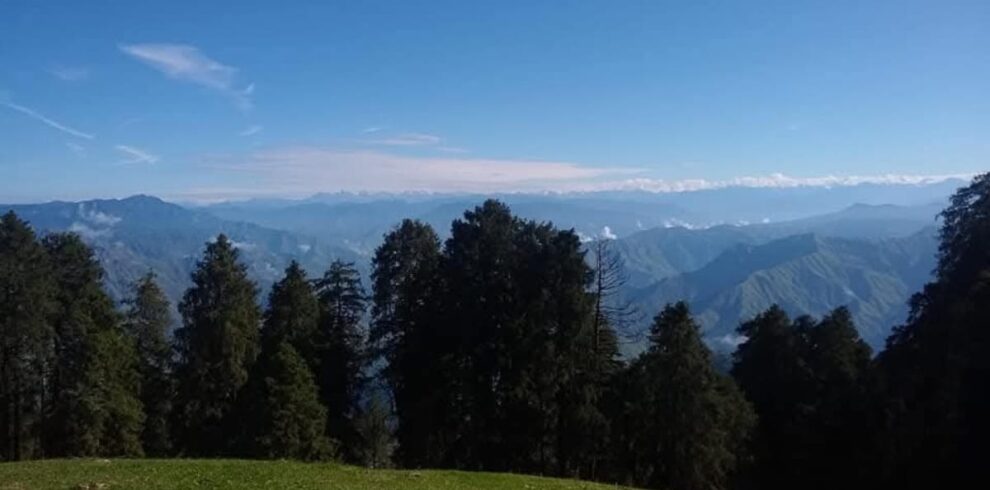 Deoban Trek Uttarakhand dense deodar forest trail near Chakrata with Himalayan views