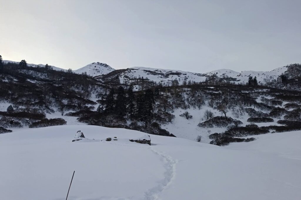 Forest trail and meadow campsite on Gulabi Kantha Trek near Seema Thatch Uttarakhand