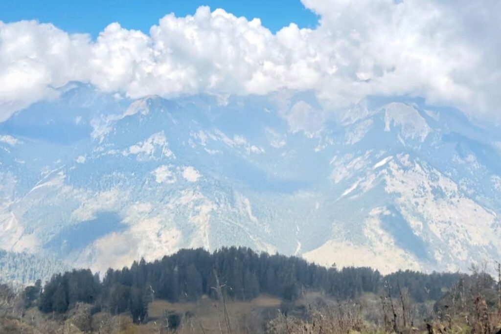 Dense oak and rhododendron forest trail on Mukta Top Trek Uttarakhand