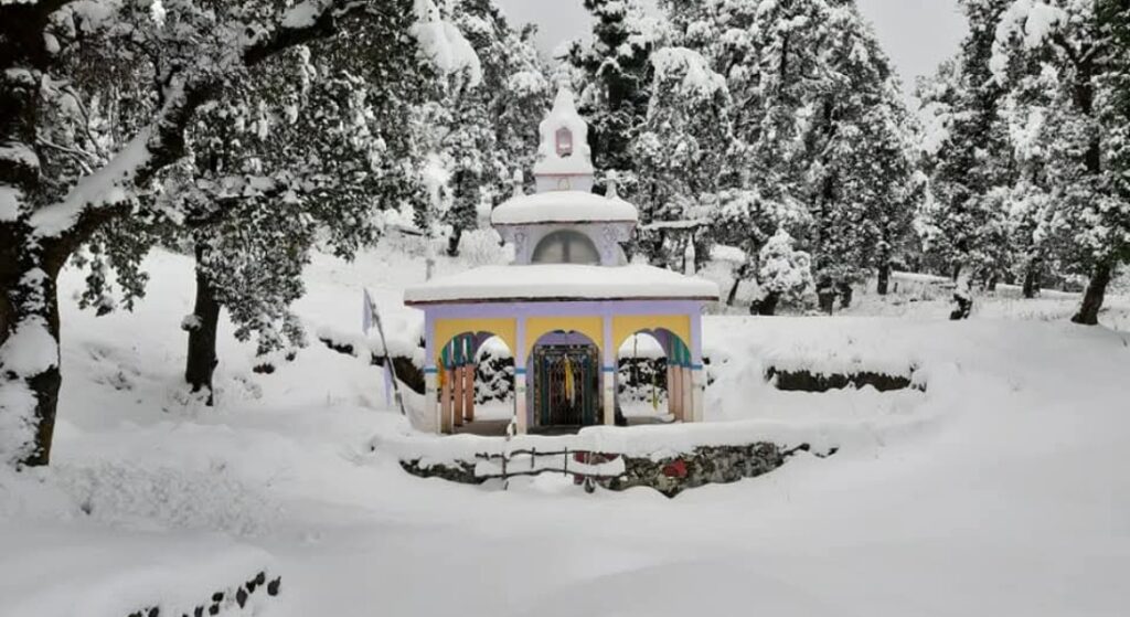 Nag Tibba snow trek with white forest trails and Himalayan views in winter