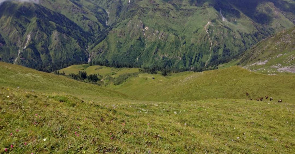 Vishkhopri Trek meadow in Supin Valley Uttarakhand surrounded by beautiful Himalayan landscapes